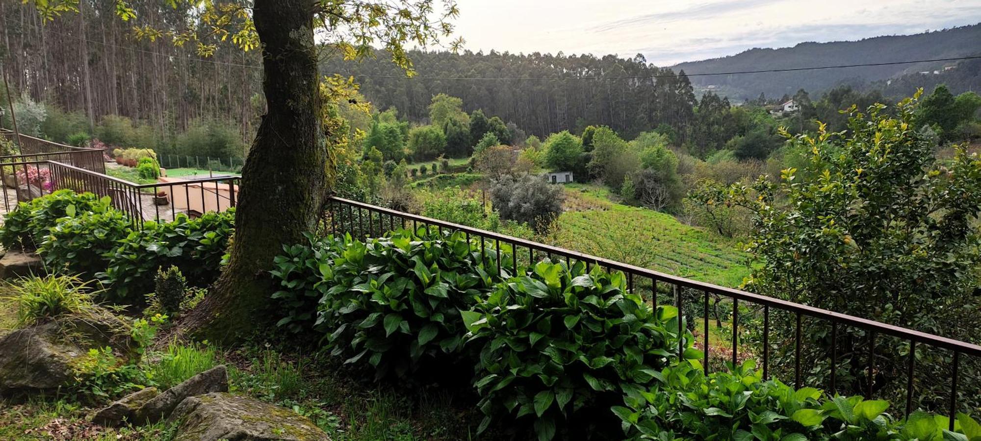 西弗都沃加Quinta Da Costeira别墅 外观 照片
